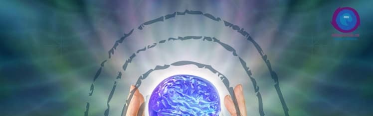 Despertar para Consciência de Evolução — Danielle Bento